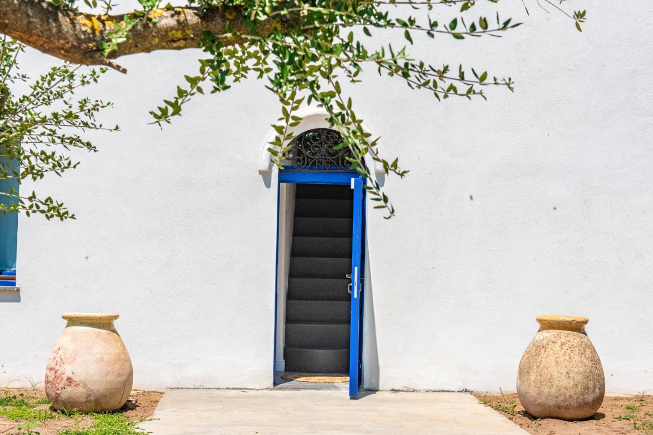 Albergo Rurale Casa Fois 발레도리아 외부 사진